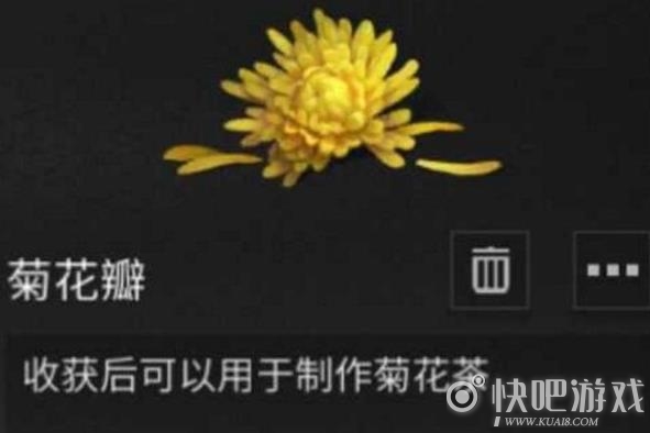 明日之后菊花瓣获取攻略