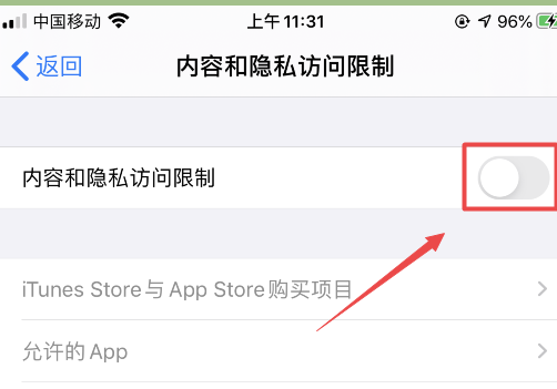 ios14访问限制在哪里设置