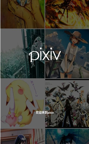 pixiv官方客户端2