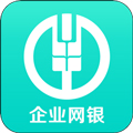 农行企业掌银app