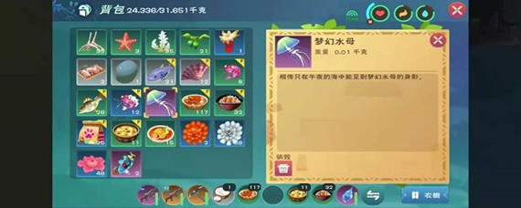 创造与魔法梦幻水母用什么钓