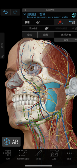 visiblebody手机破解版下载