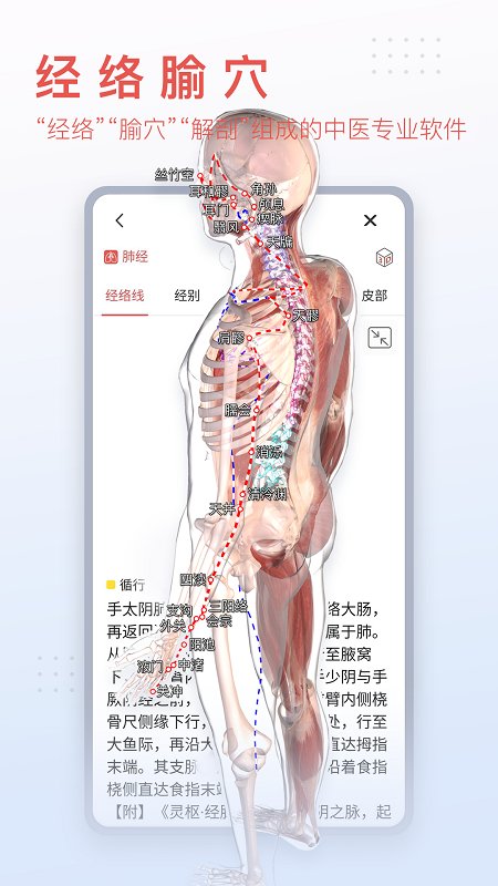 3dbody最新版本下载