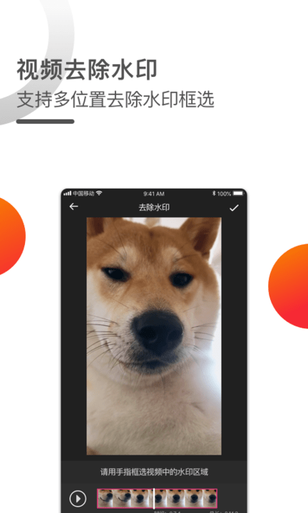 短视频一键去水印免费下载