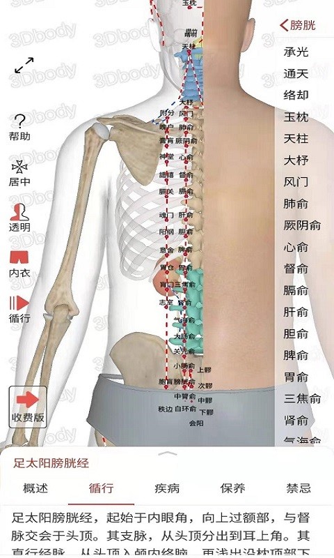 3dbody经络穴位app下载