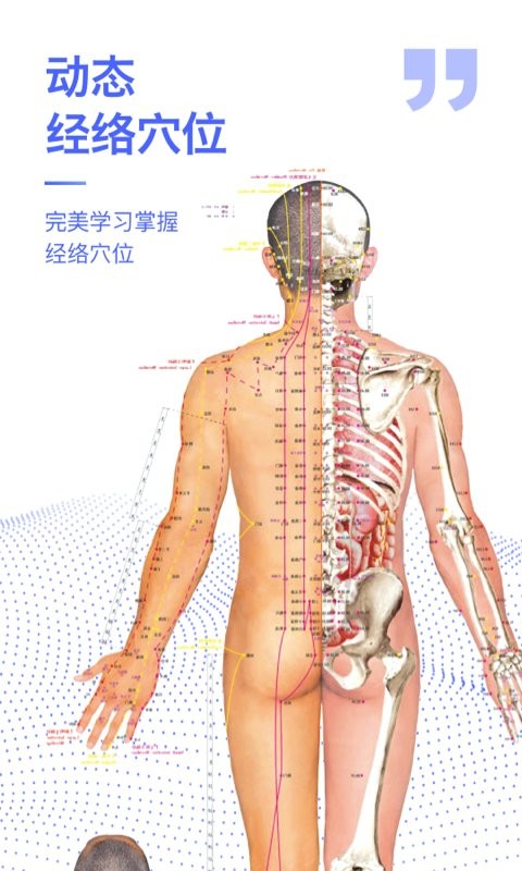 人体3d解剖图谱软件下载