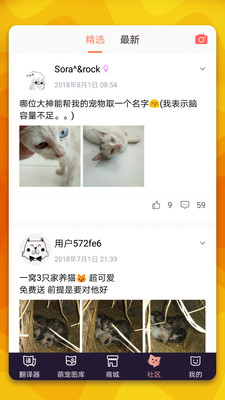 猫语翻译器APP 1