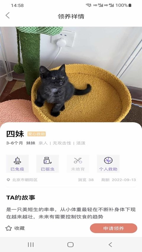 小猫先生软件官方版