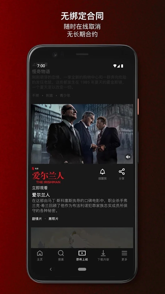 网飞netflix中文版 2