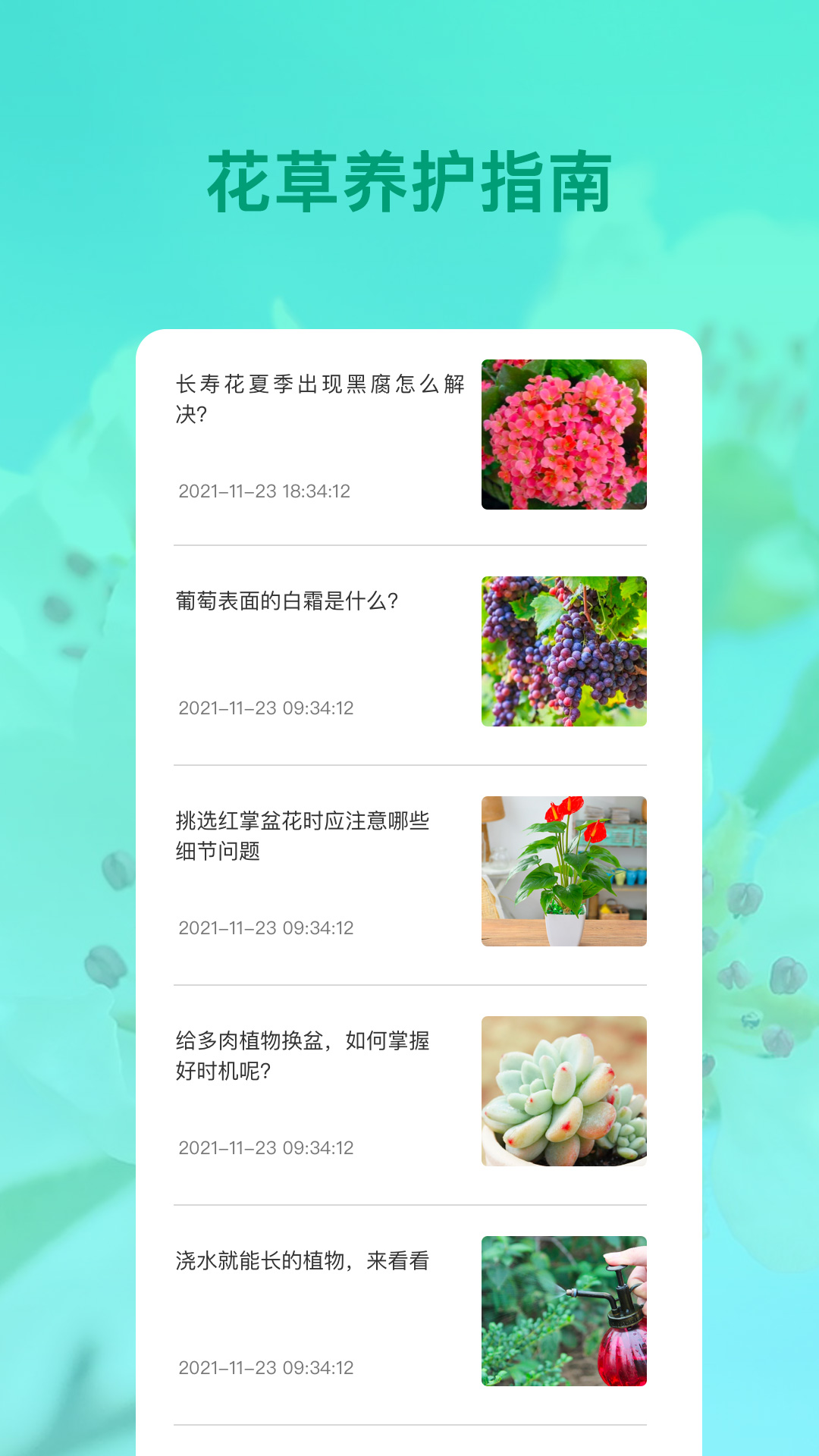 识花APP 1