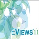 Eviews中文版v11破解版