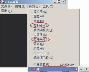 VirtuaNES汉化版怎么设置手柄