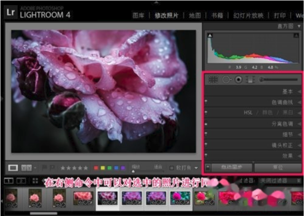 Lightroom2019使用帮助2