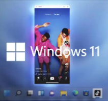 win11安卓子系统(Android12.1)最新独立安装包